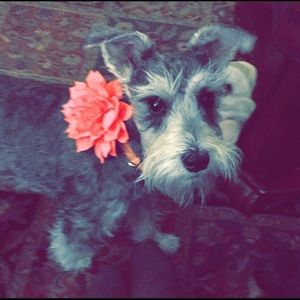 Meet your Posher, Leann